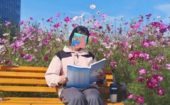 茄子视频wdnmdbilibili